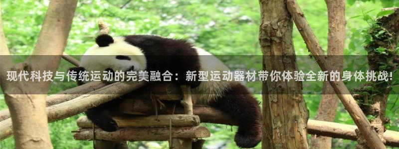 凯捷体育招商电话号码查询是多少：现代科技与传统运动的