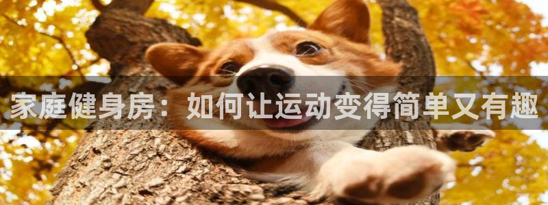 凯捷体育平台注册流程视频：家庭健身房：如何让运动变得