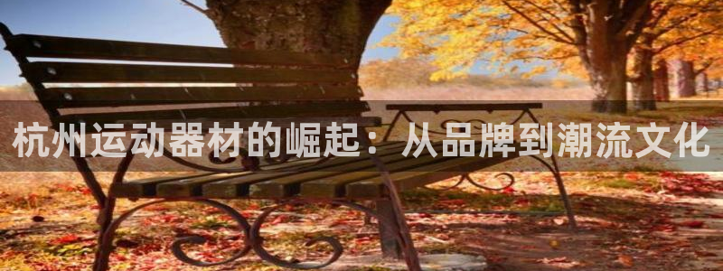 意昂平台体育：杭州运动器材的崛起：从品牌到潮流文化