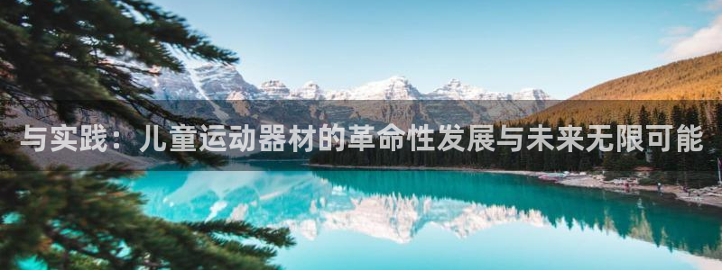 凯捷体育集团简介：与实践：儿童运动器材的革命性发展与