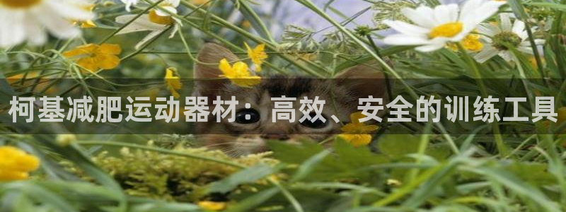 凯捷体育集团官网网址