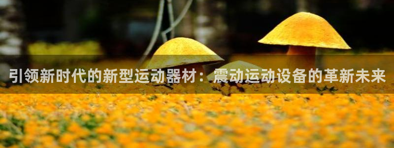 凯捷体育集团简介：引领新时代的新型运动器材：震动运动