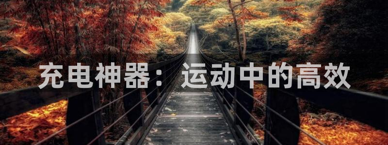 意昂集团官网：充电神器：运动中的高效